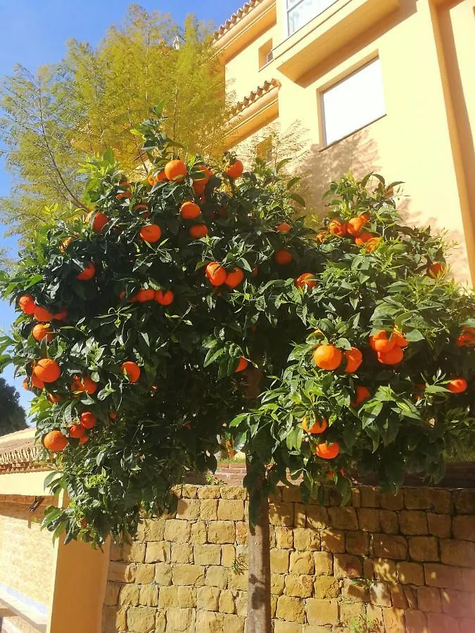 Apartment Princess Park, Mijas Sitio de Calahonda